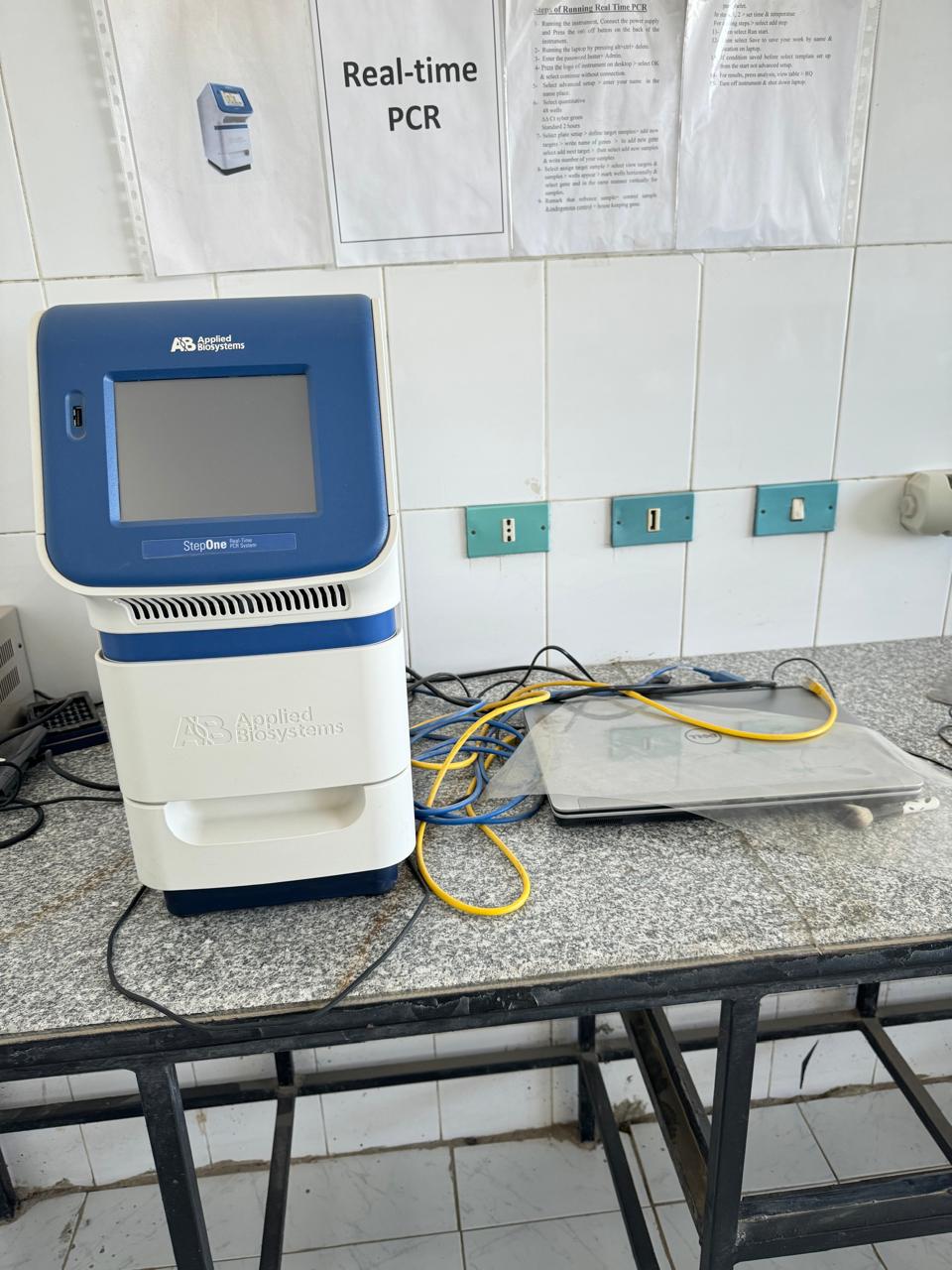 Realtime PCR